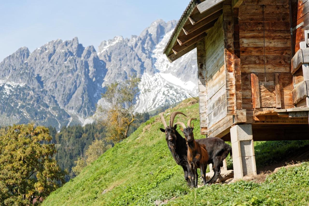 Gut Stein Panoramalodge Mühlbach am Hochkönig Exteriör bild