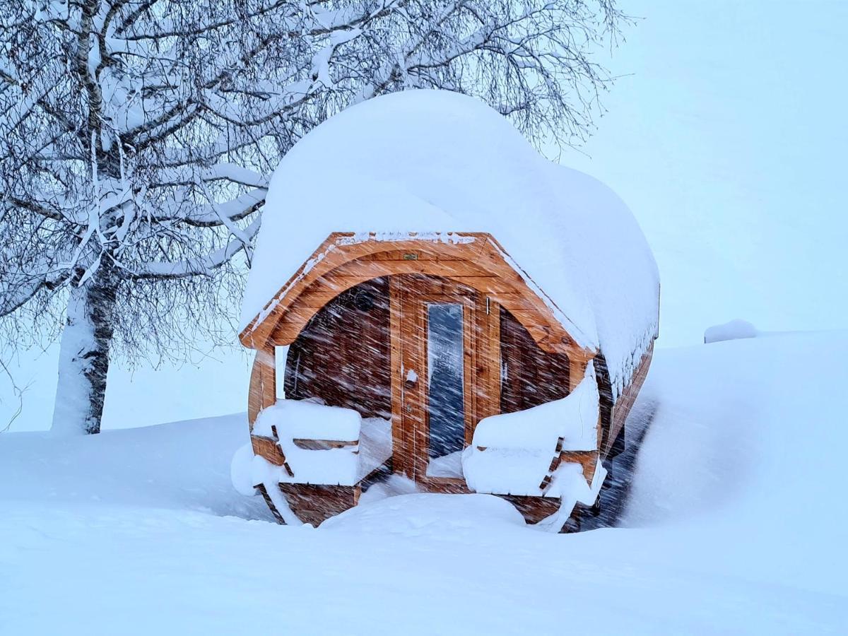Gut Stein Panoramalodge Mühlbach am Hochkönig Exteriör bild